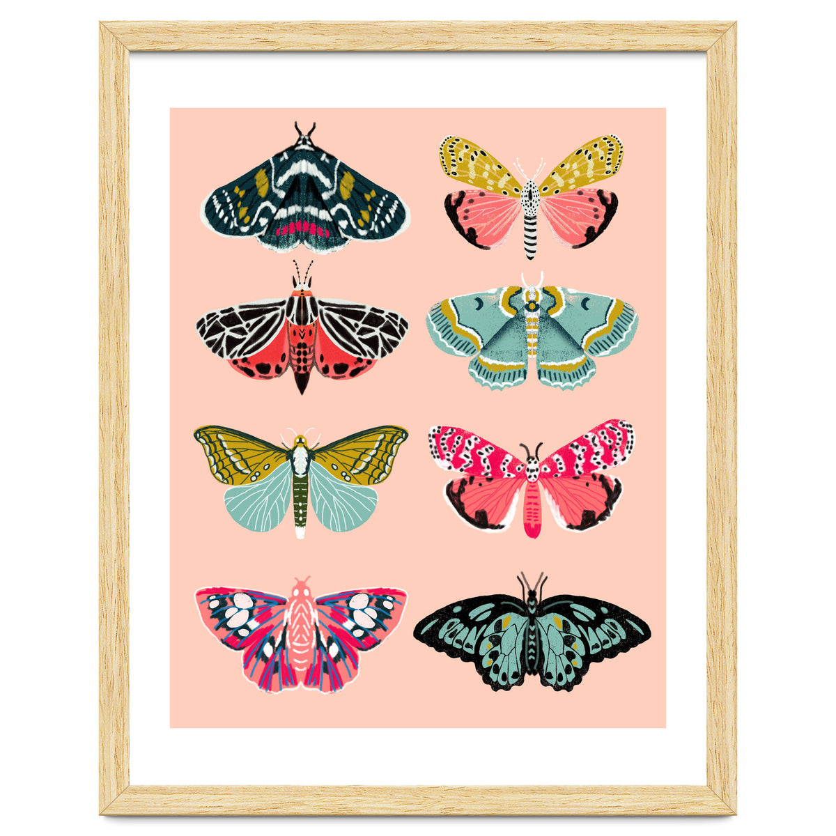 Lepidoptery No. 1