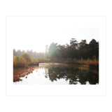 Bog (Print Only) thumbnail