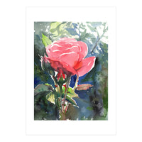 Romantic rose (Print Only)