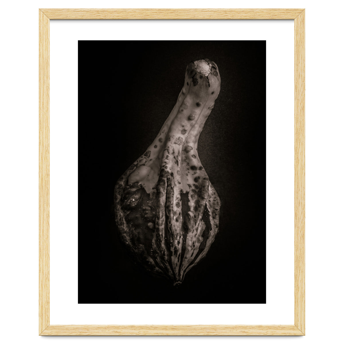 Gourds No 3