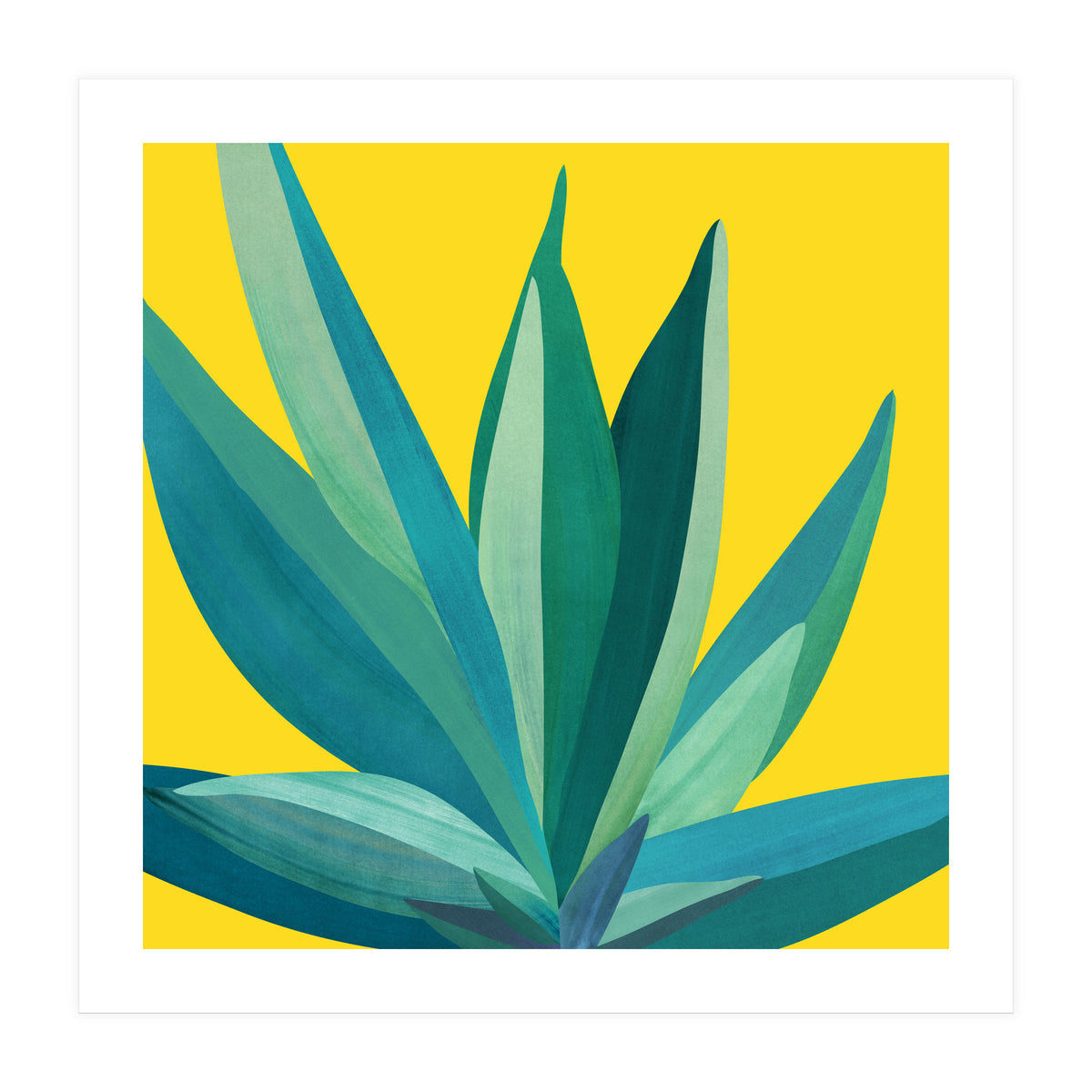 Spring Cactus (Print Only)