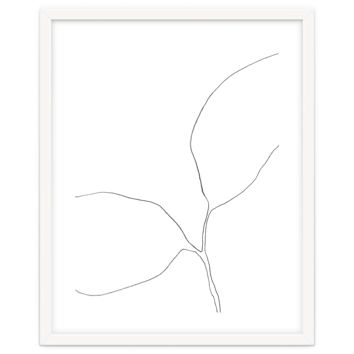 Seedling Leaning Left