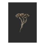 Gold Burst Botanicals - Square (Print Only) thumbnail