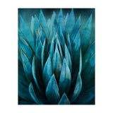 Blue Succulent (Print Only) thumbnail