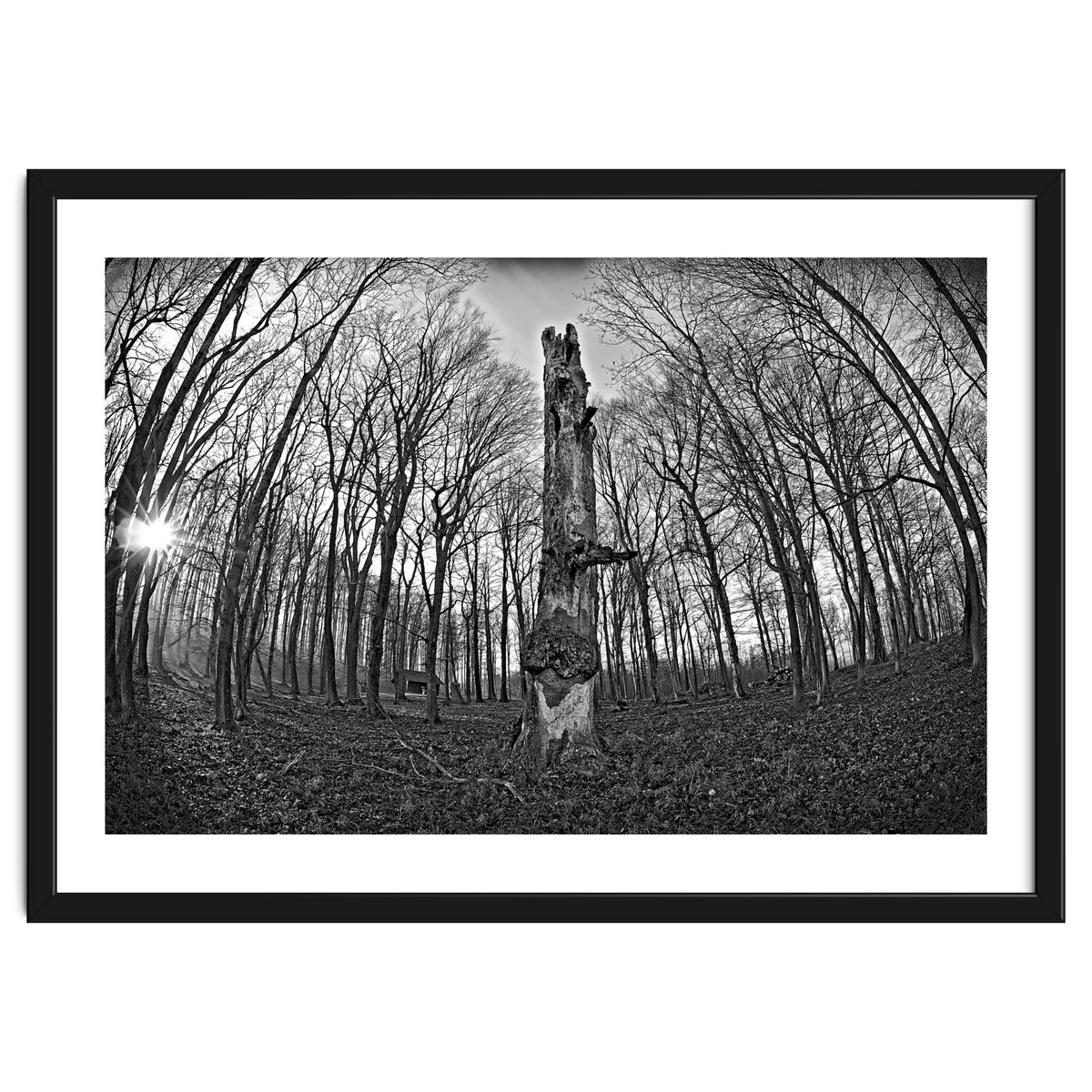 Circle of Growth and decay