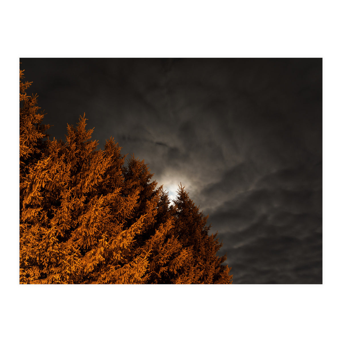 Howling (Print Only)