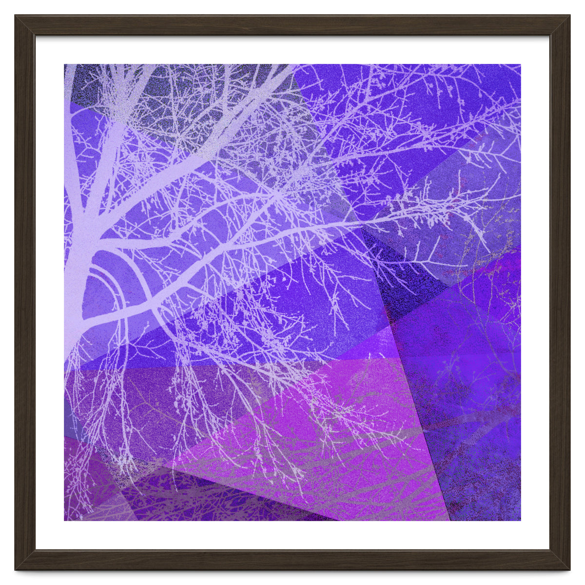 P19-D2 Trees and Triangles