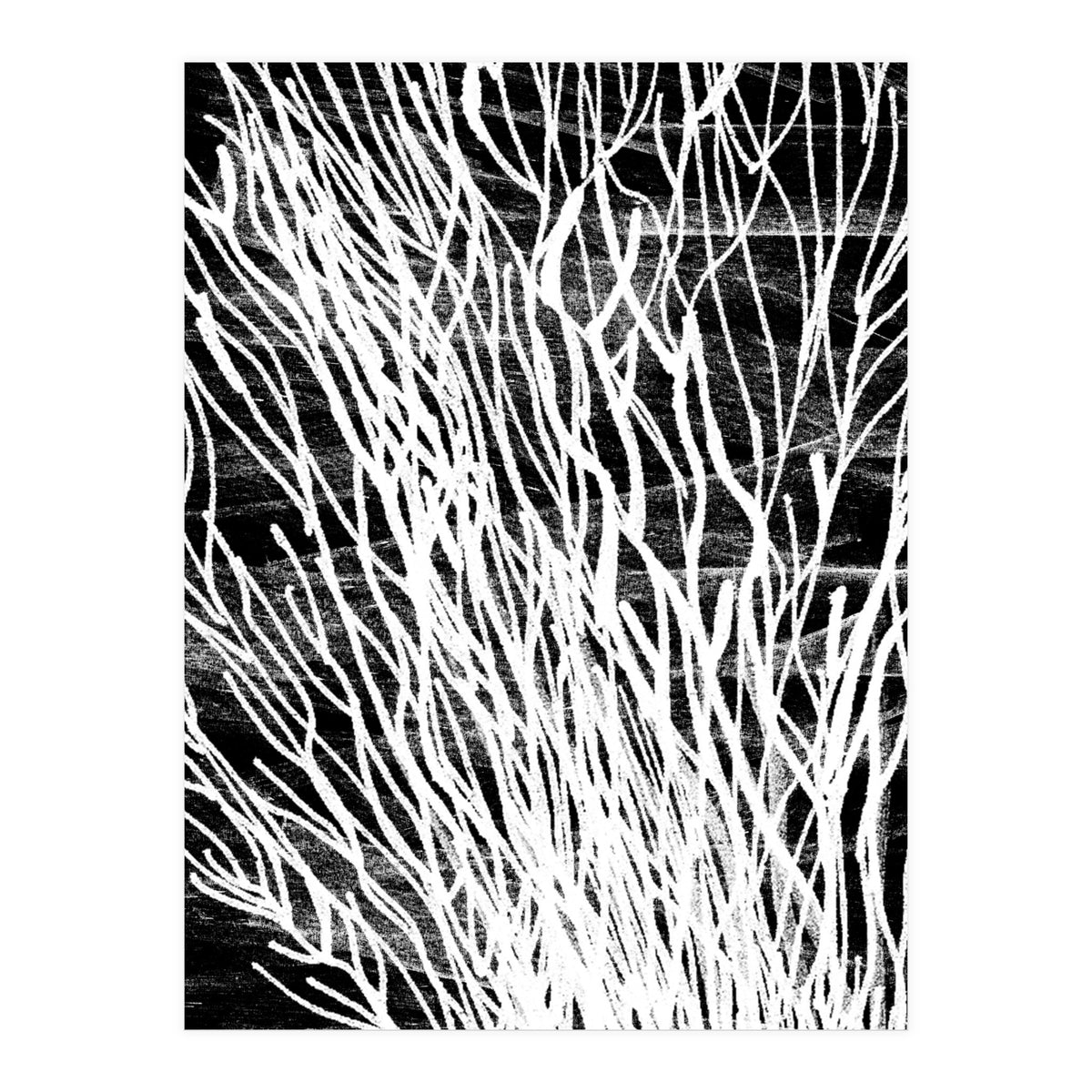 Desert Colours Collection 6 (Print Only)