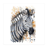 Zebra - Wildlife Collection (Print Only) thumbnail