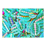Let's find a beautiful place to get lost (Print Only) thumbnail