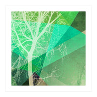 P22-B3 Trees And Triangles (Print Only)