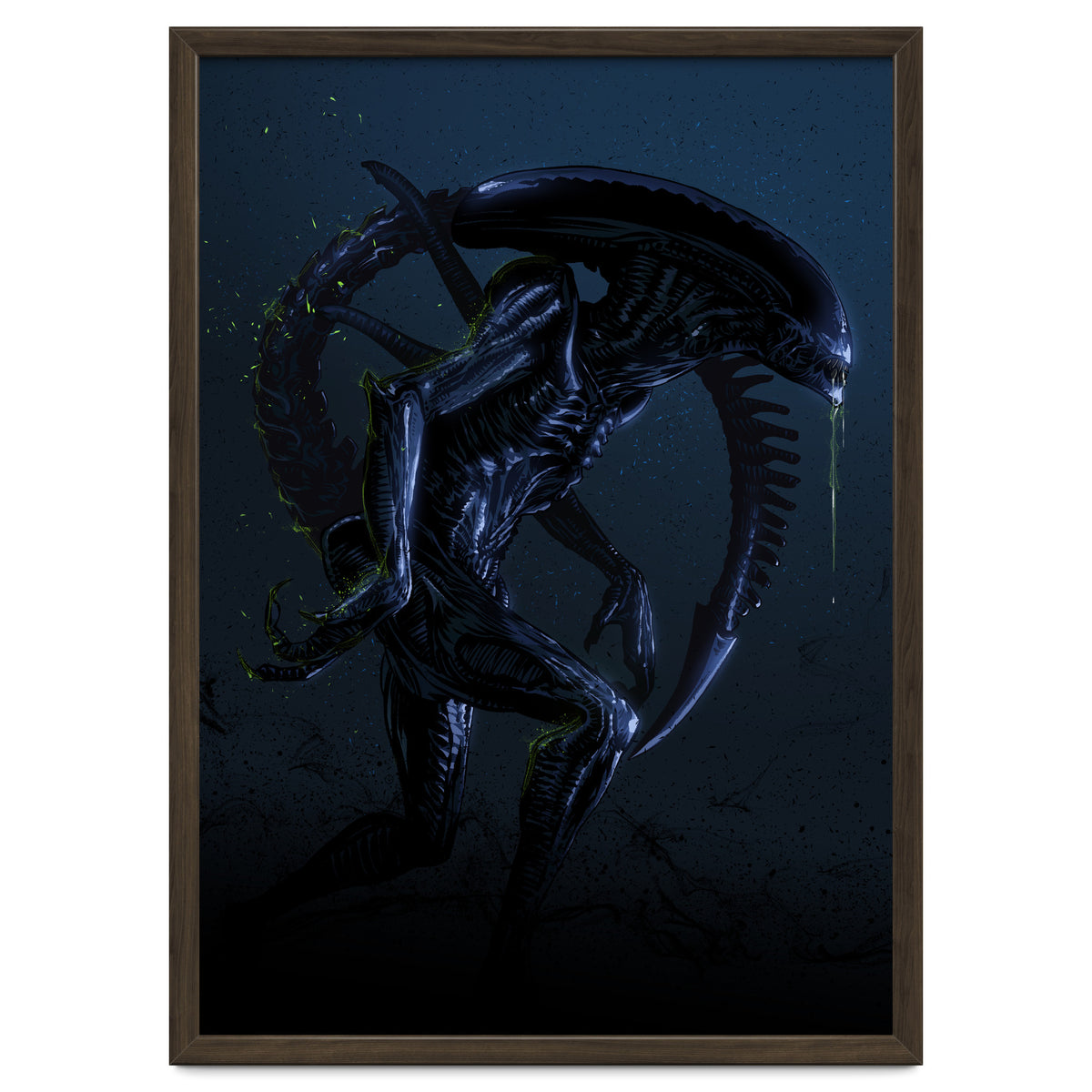 Alien Xenomorph