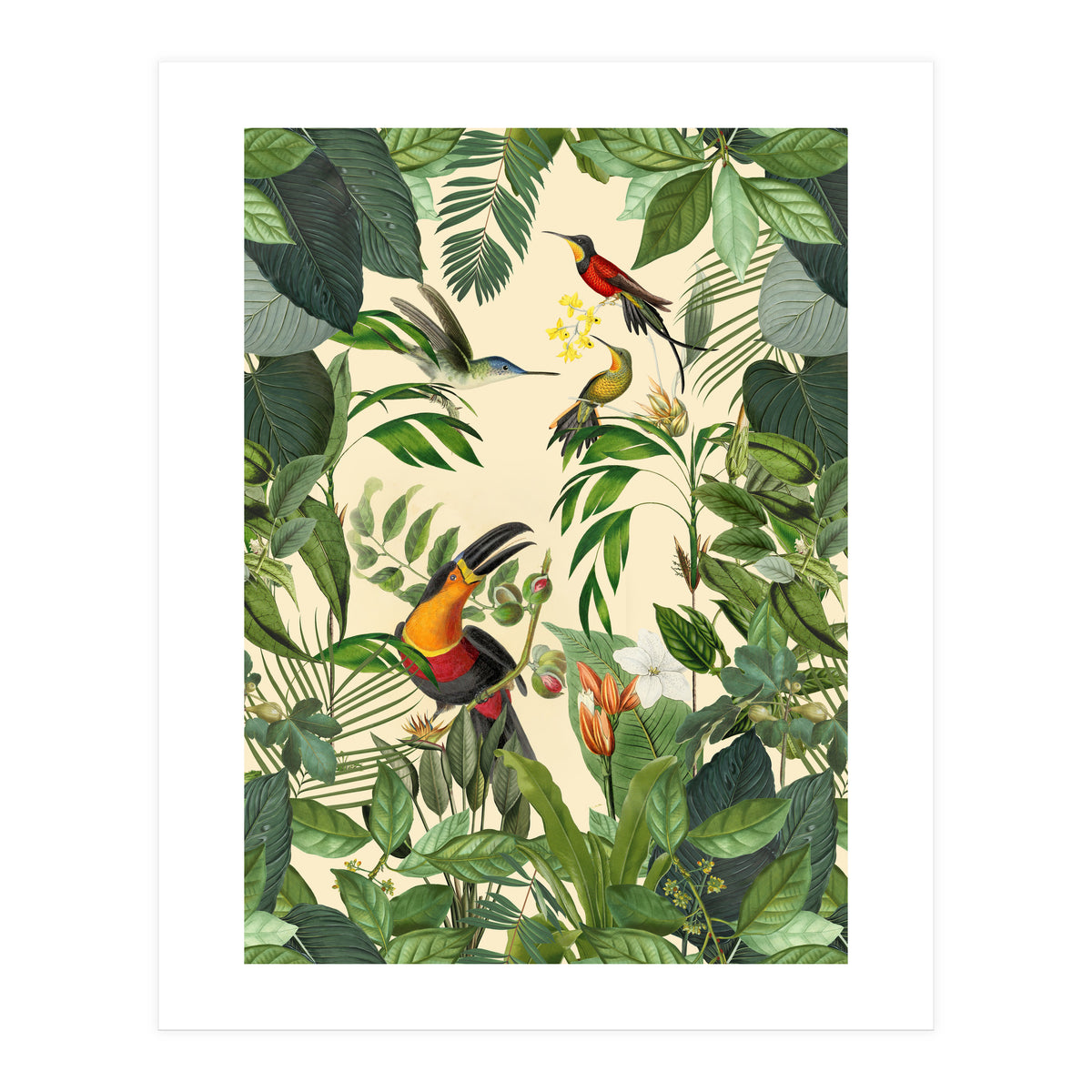 Green Jungle Toucans (Print Only)