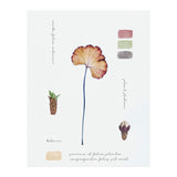 Botanical Notes (Print Only) thumbnail