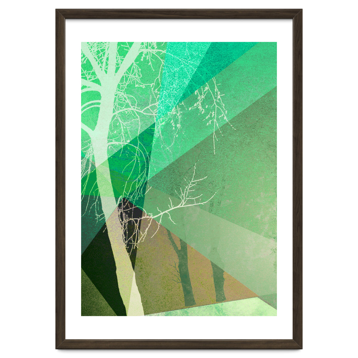 P22-B6 Trees And Triangles