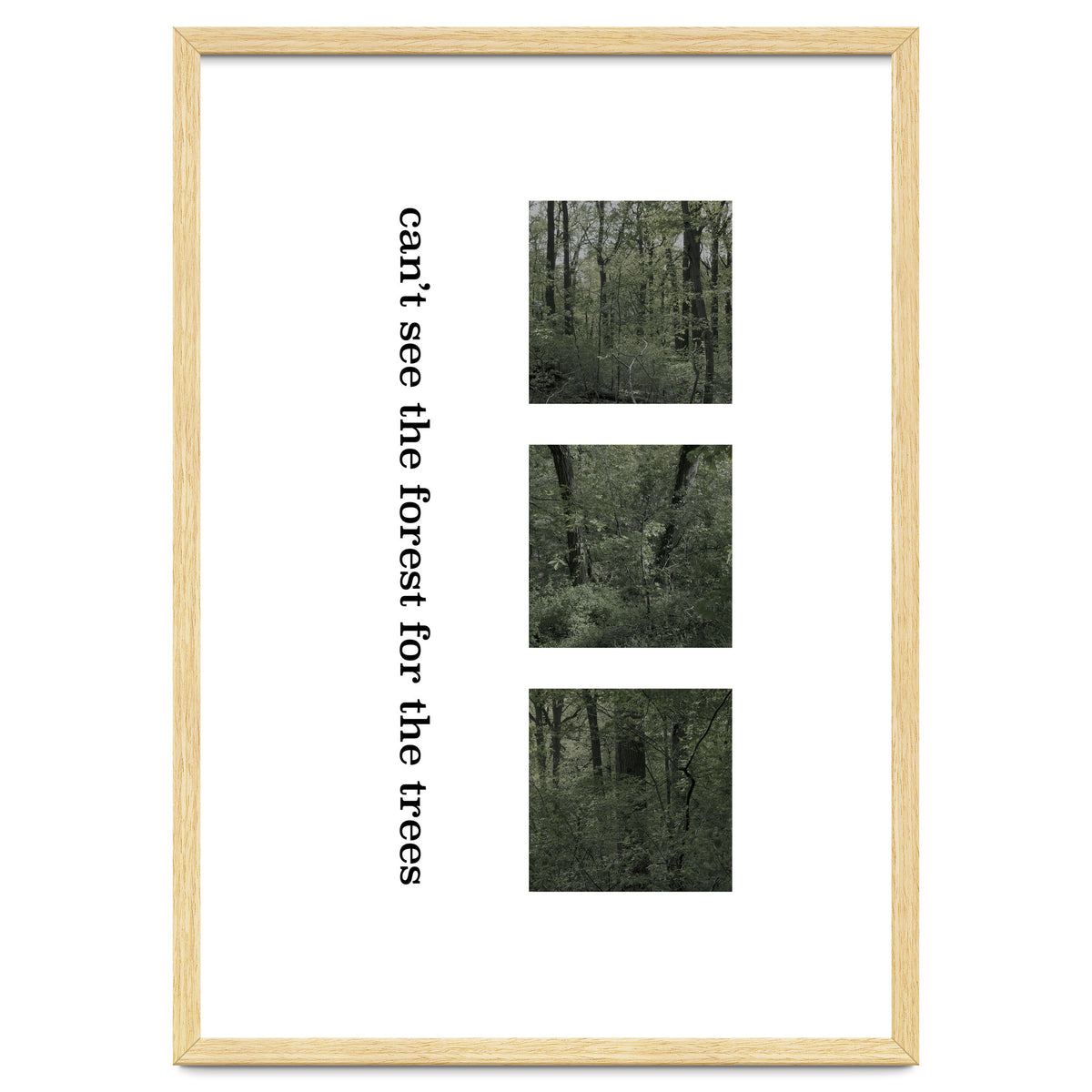 can’t see the forest for the trees