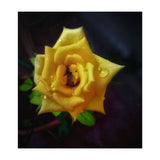 Yellow Flora (Print Only) thumbnail