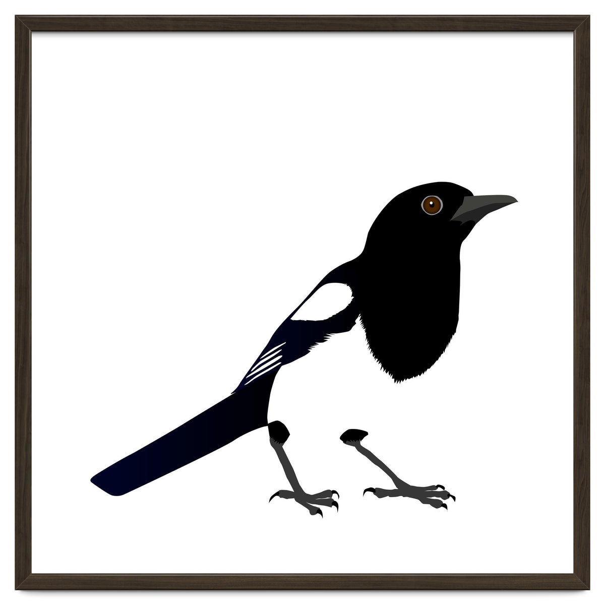Magpie