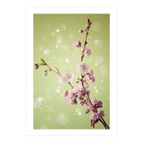 Springtime  (Print Only) thumbnail