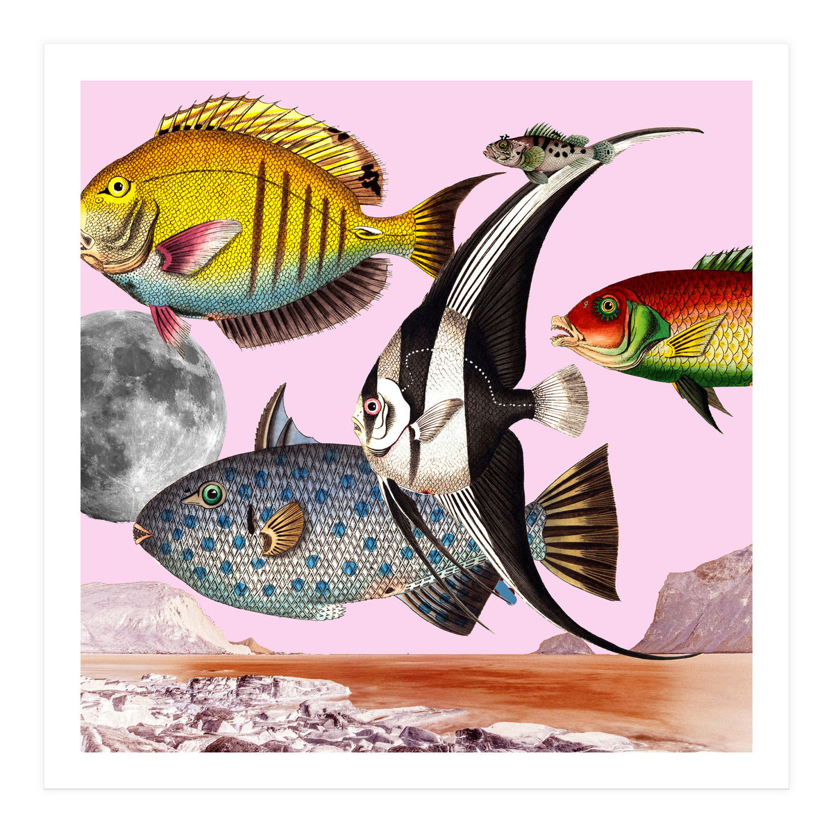 Fish World Pink (Print Only)