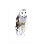 Owl (Print Only) thumbnail