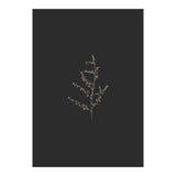 Dainty Botanicals in Gold and Black (Print Only) thumbnail