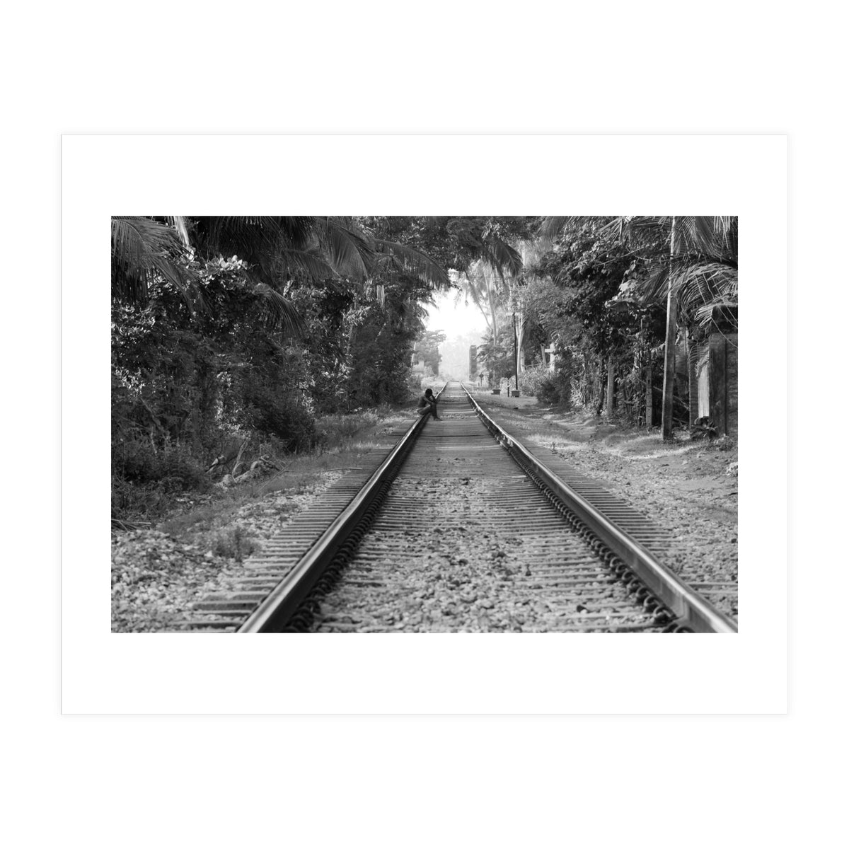 Colombo, Sri Lanka (Print Only)