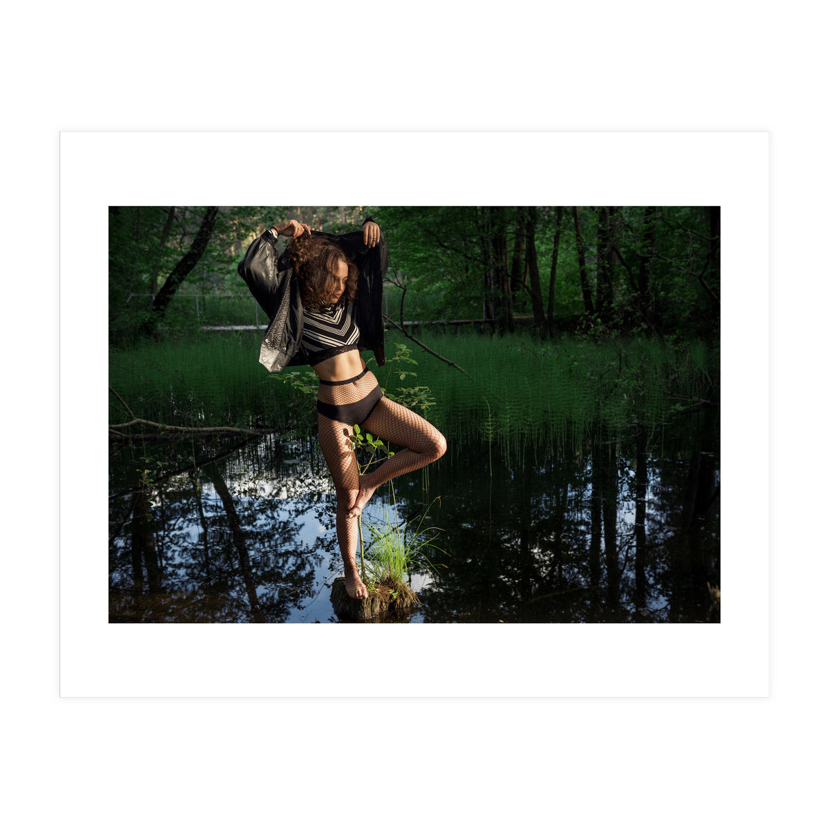 Black Swan (Print Only)