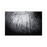 hair (Print Only) thumbnail