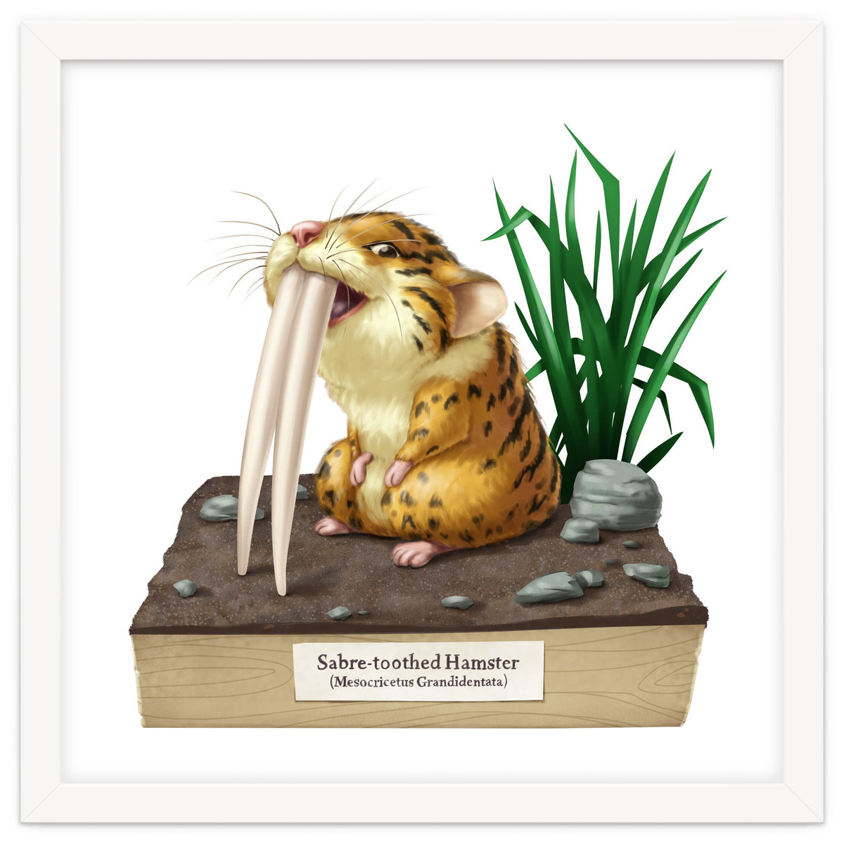 Saber-toothed Hamster