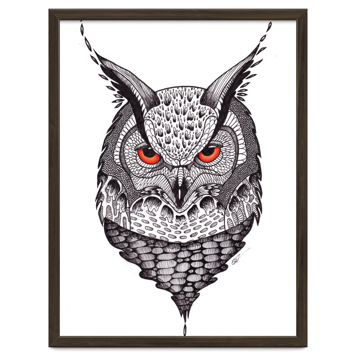 Owl