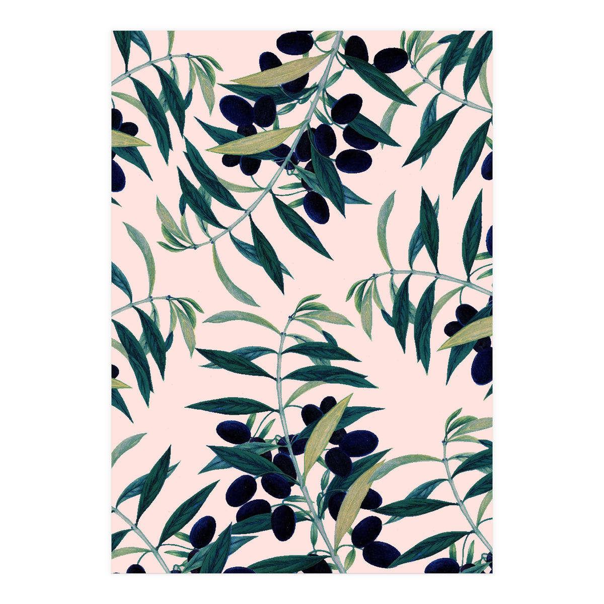 Olive Branch Pattern (Print Only)