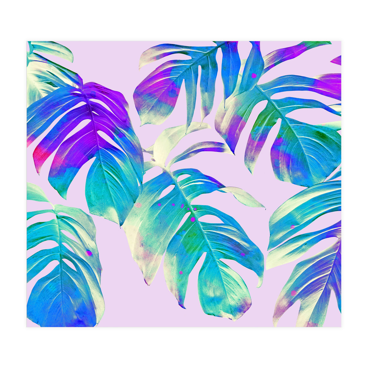 Monstera Leaves (Print Only)