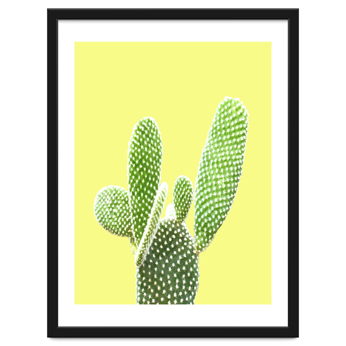 Cactus Yellow Background