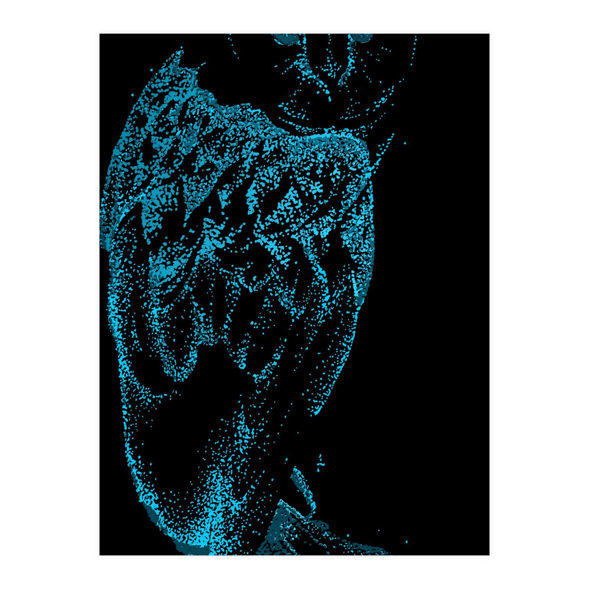 Teal Barn Owl (Print Only)