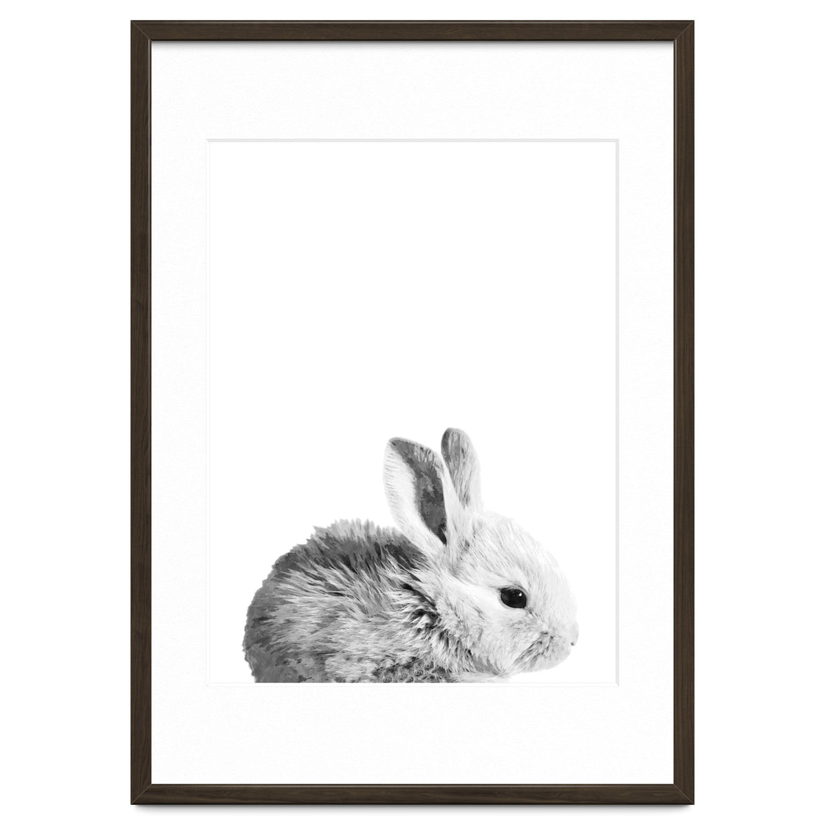 Black and White Bunny Portrait