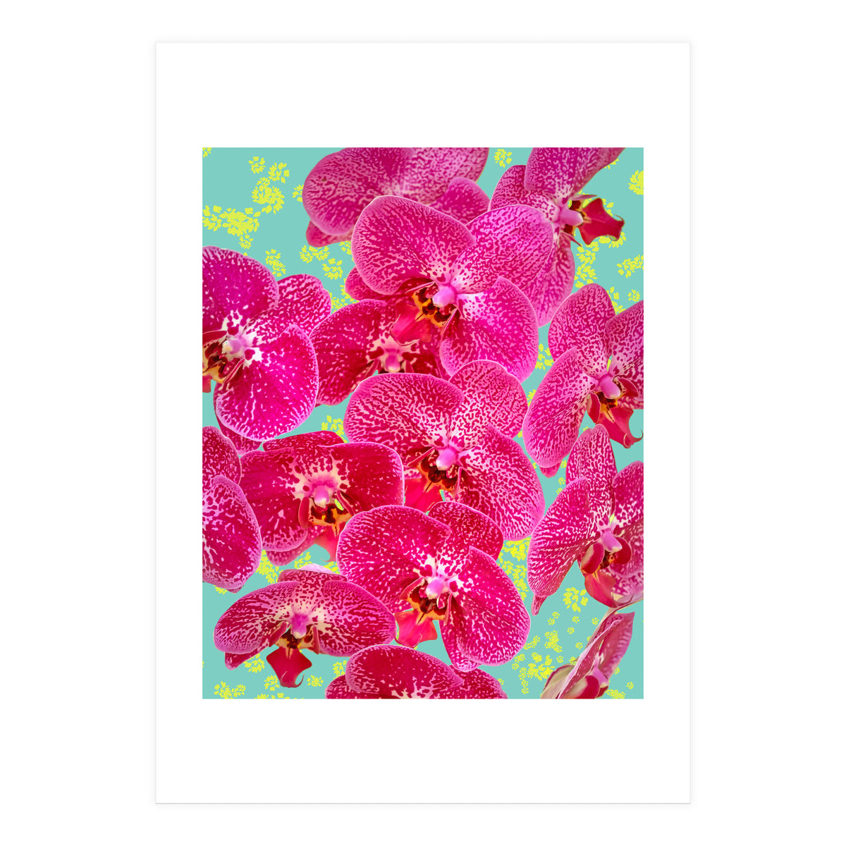 Finding My Way Back To Myself, Botanical Nature Plants Floral, Flowers Garden Colorful Boho Painting Summer Blossom (Print Only)