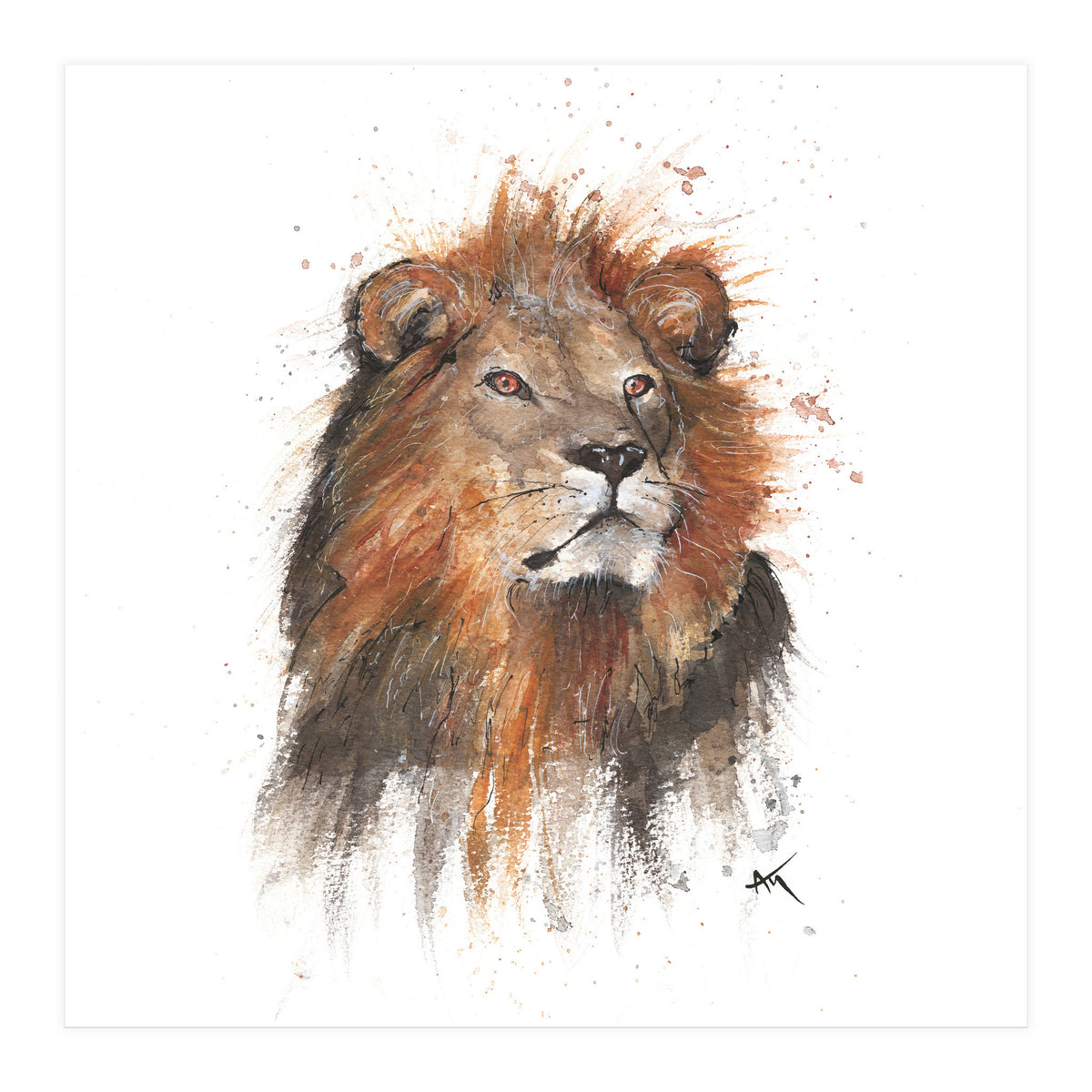 Lion - Wildlife Collection (Print Only)
