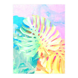 Umami (Print Only) thumbnail