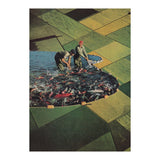 Salmon Farm (Print Only) thumbnail