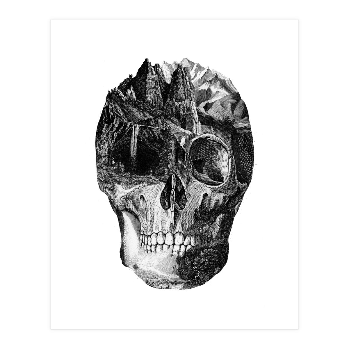 The Final Adventure (Print Only)