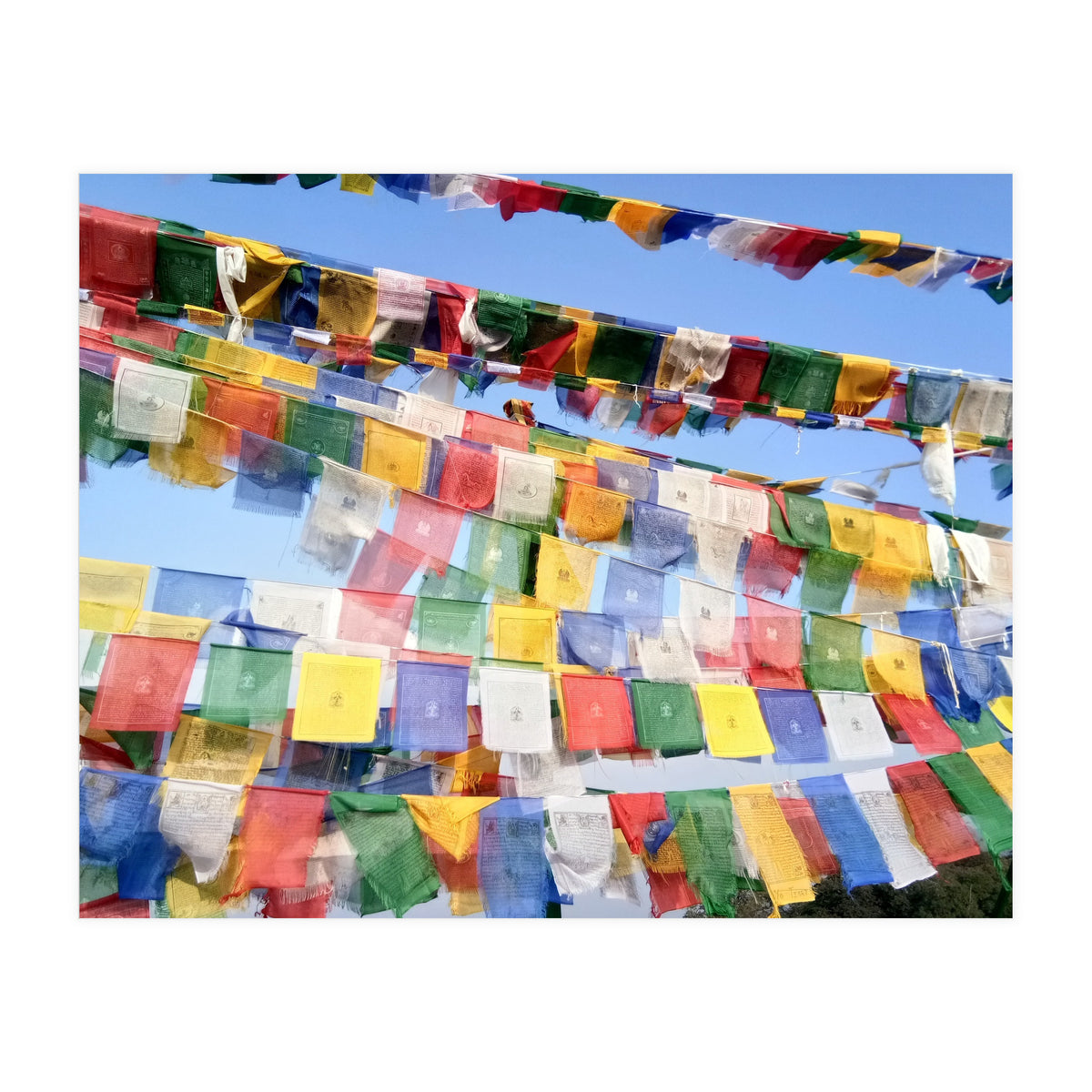Prayer Flags  - Series 1 (Print Only)