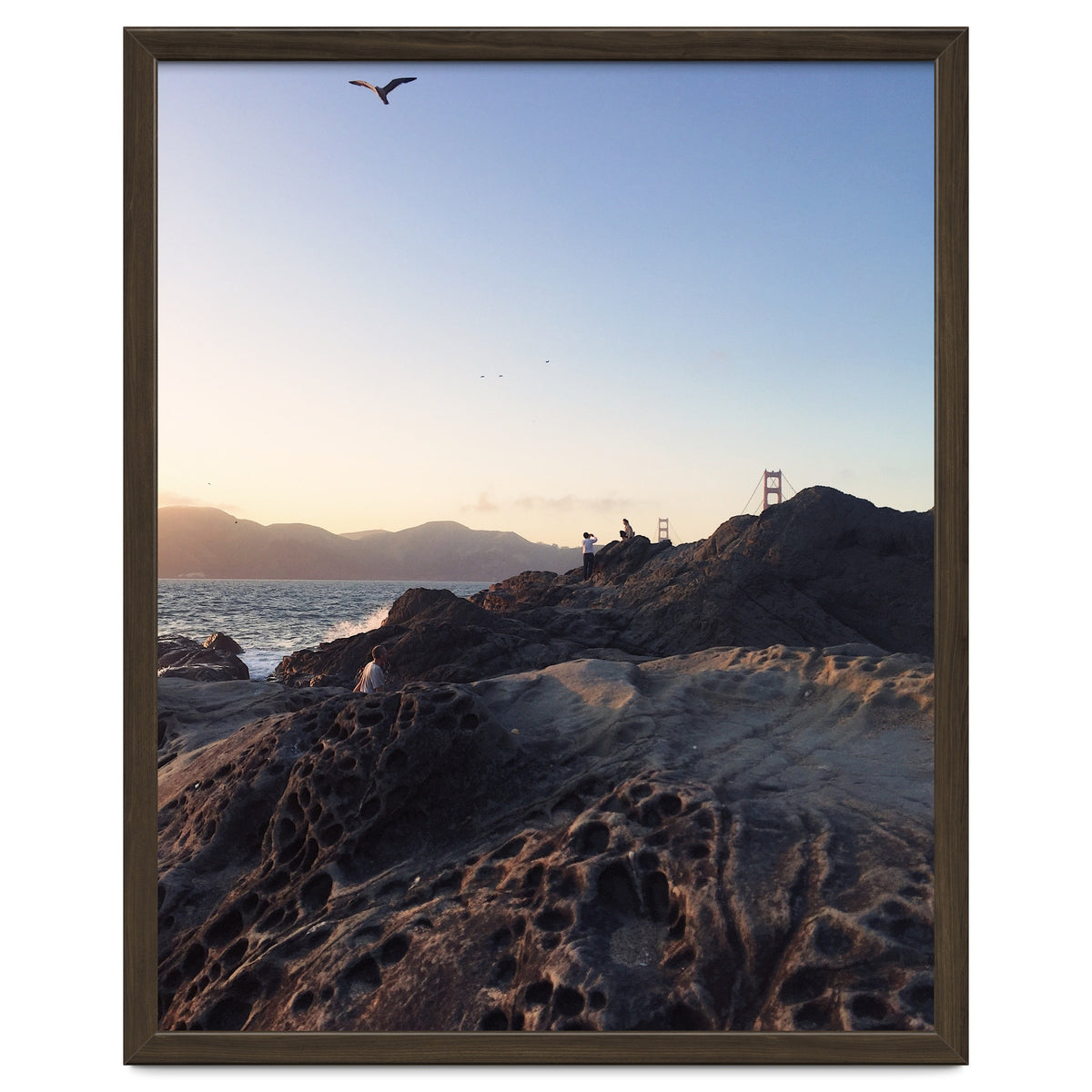 Golden Gate Bridge V