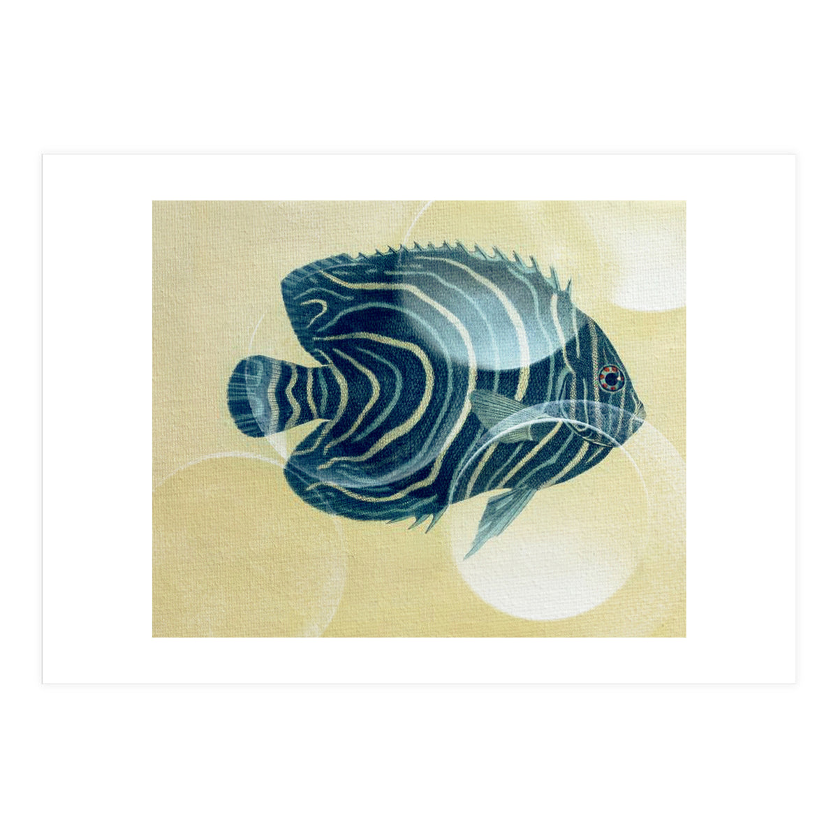 Fish Between Circles (Print Only)