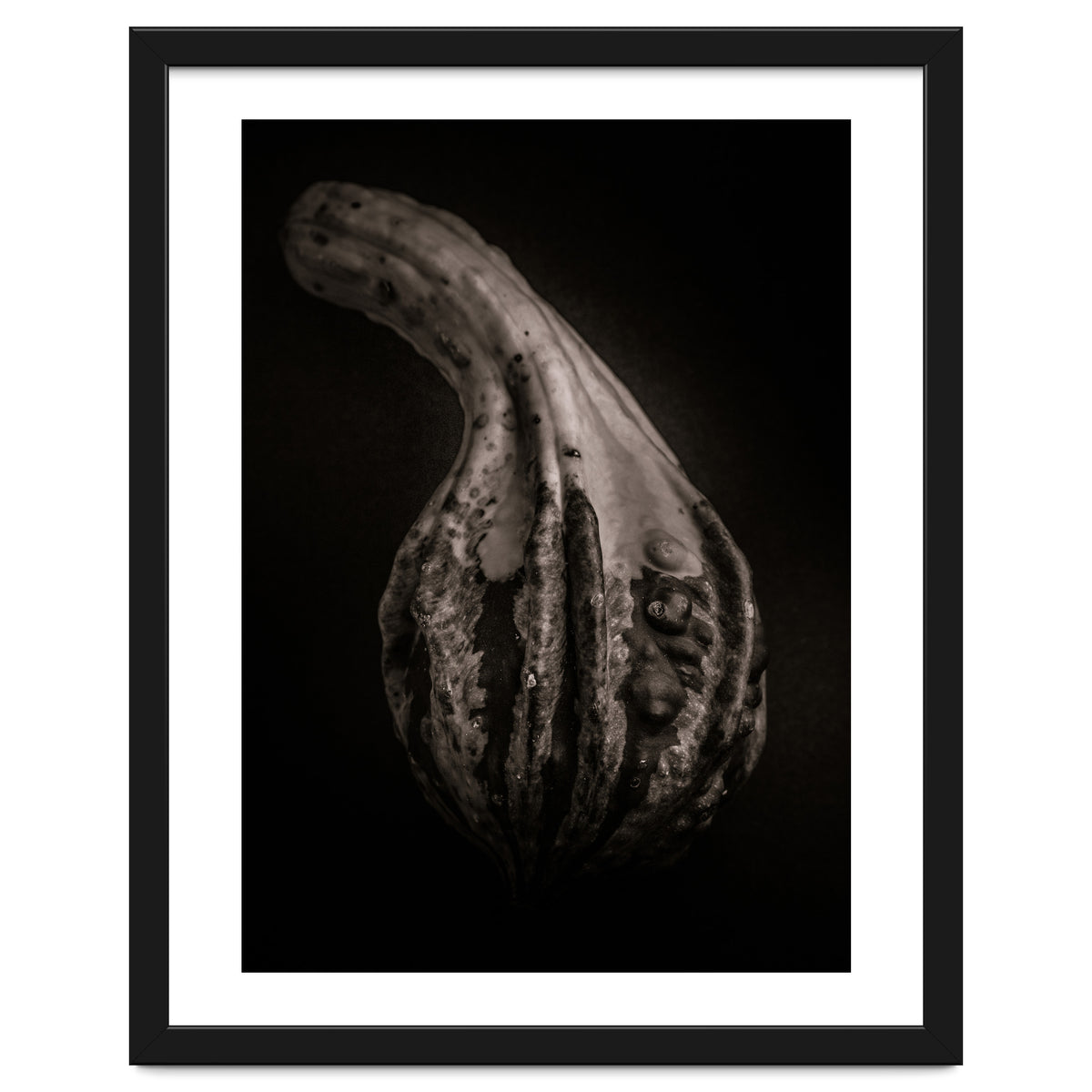 Gourds No 2