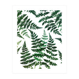 Botanical Bliss (Print Only) thumbnail