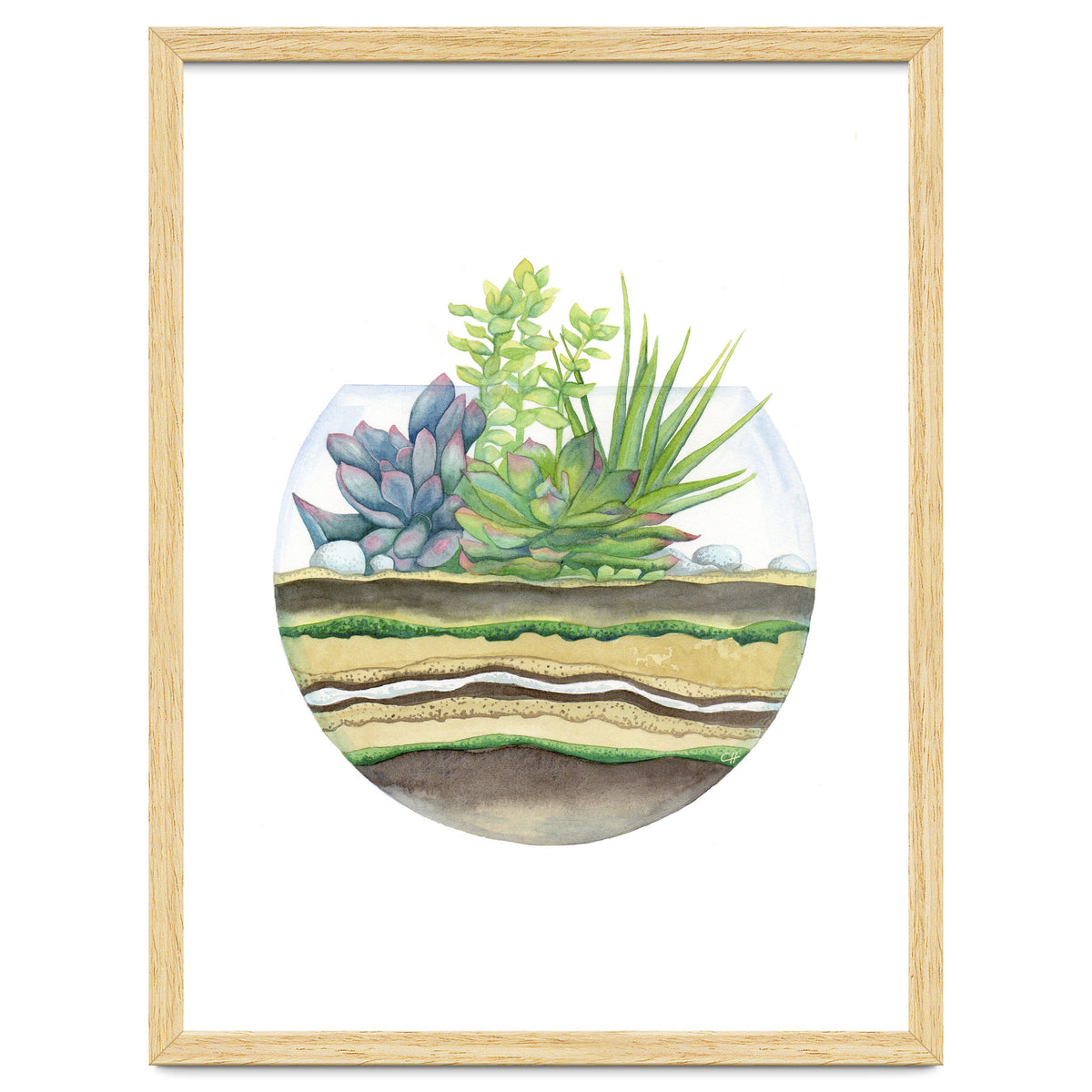 A Little Green Terrarium
