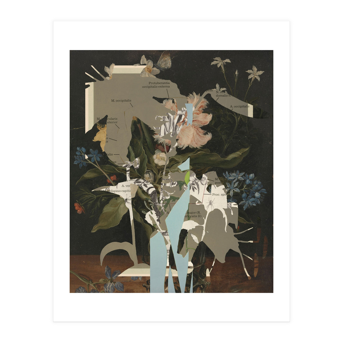 The First Plant · D2 (Print Only)