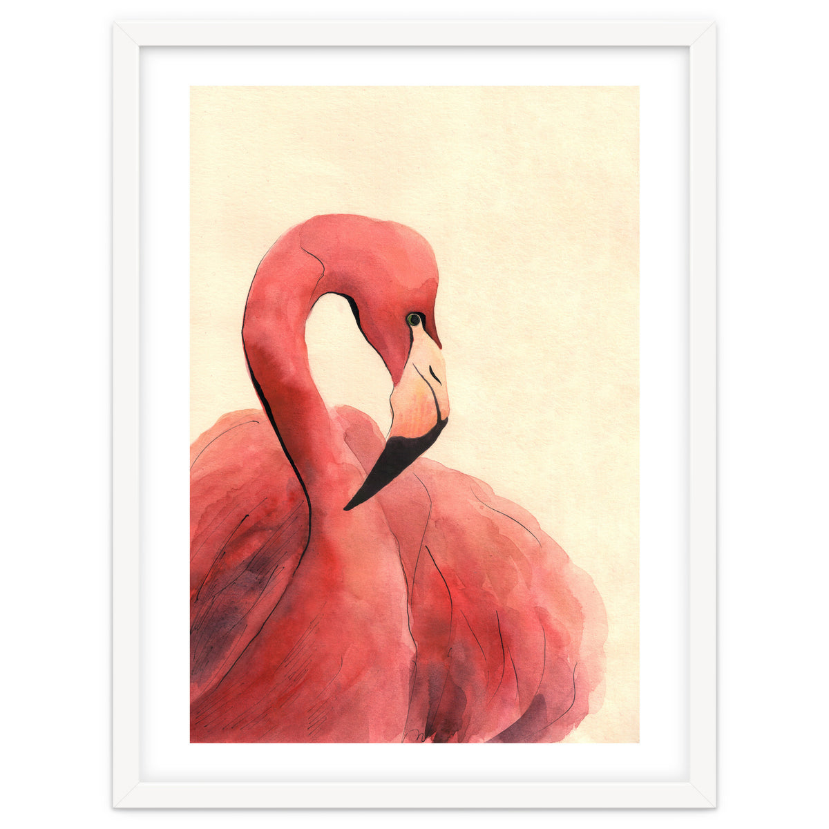 Flamingo