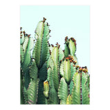 Cactus Love (Print Only) thumbnail